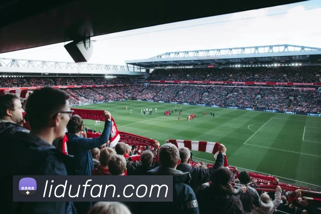 新京葡萄入口APP 封面图