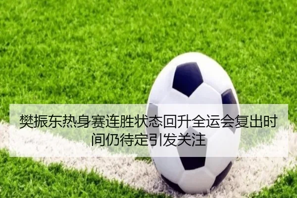 樊振东热身赛连胜状态回升全运会复出时间仍待定引发关注